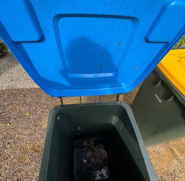 Before Bin