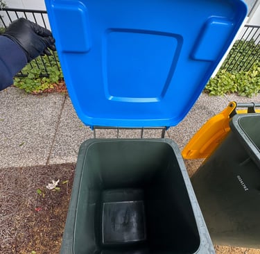 After Bin