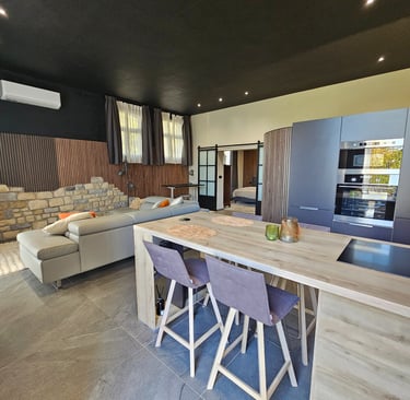 cuisine-salon-espace-de-vie