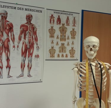 Stanza del osteopata con scheletro e poster di anatomia