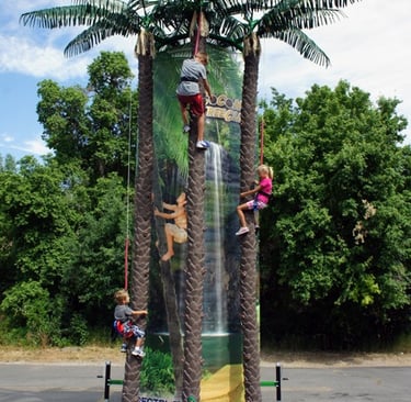 Coconut Tree Climbing