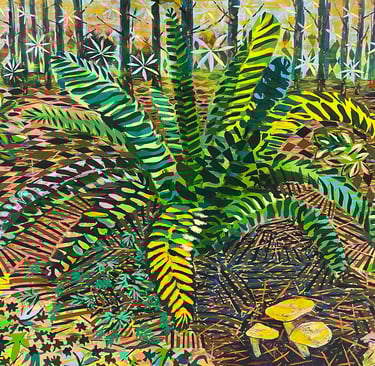 ferny pines
