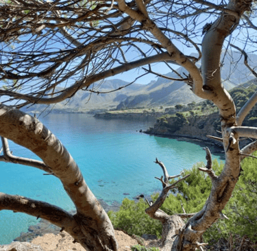 Cala Na Clara Viewpoint.A small beach surrounded by mountains.