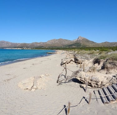 Son Serra de Marina Beach. A long, white-sand beach ideal for sailing.
