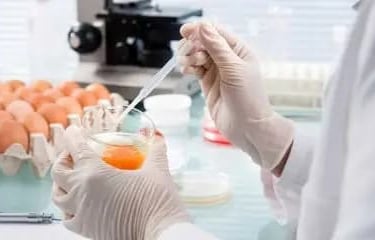 Supermercados, tiendas de Alimentación,  solicitan nuestras Servicios de Control Plagas Fuenlabrada