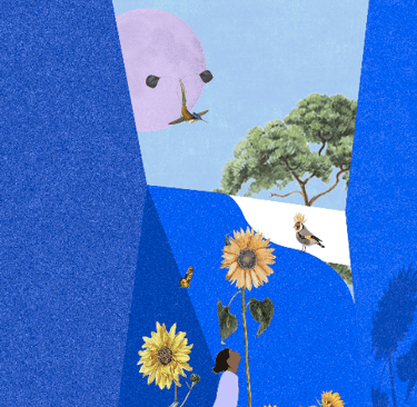 Projet architecture ECOLE