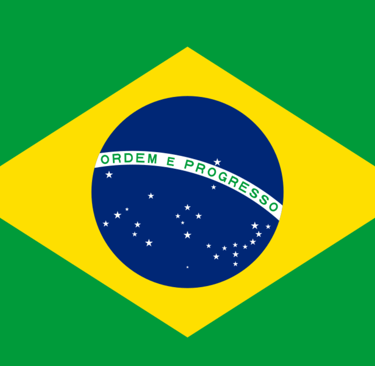 the brazilian flag
