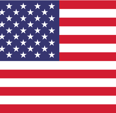 the flag of the united states of america