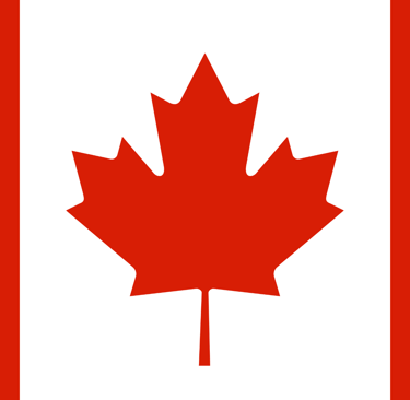 the canadian flag with a red maple leaf