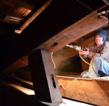 Great Watching Chamber roof, Hampton Court - photo by Dr Lee Prosser FSA