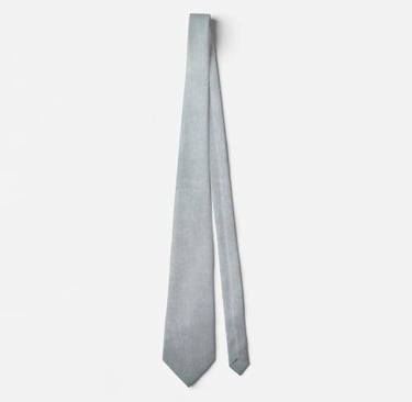 Timeless Gray Elegant Neck Tie