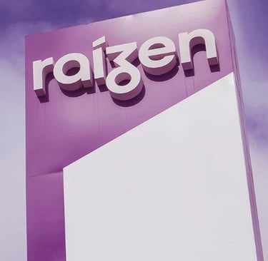 RAIZ4, análise de investimentos em ações