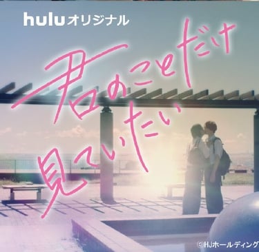 Kimi No Koto Dake Mite Itai Vostfr