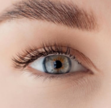 Wimpern