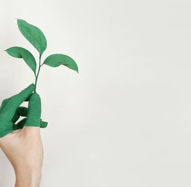 pintura ecológica Rivas Vaciamadrid