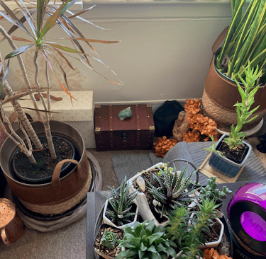 Dr Josie Valderrama's Office - photo of session room plants & window overlooking 21st & Mission St