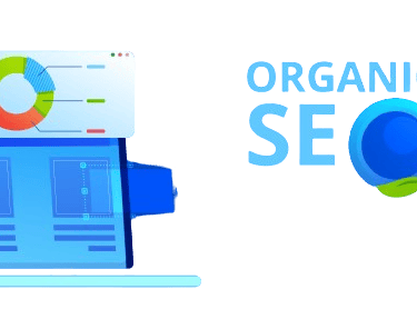 Organic SEO Services in Bangalore