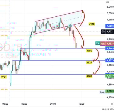 XAU/USD Gold Technical Analysis 13 Feb 2026