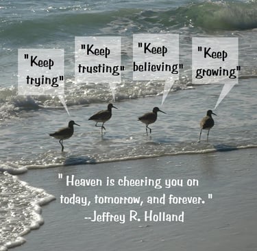Seabirds in water's edge with talk bubbles saying Keep trying . . .