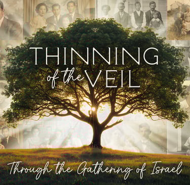 Thinning of the Veil tree on ancestor pictures