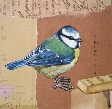 mixed media painting of a blue tit with a shortbread biscuit painting by carolynne coulson