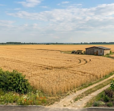 Landwirtschaft: Grün- und Ackerland bei Immokönig.at