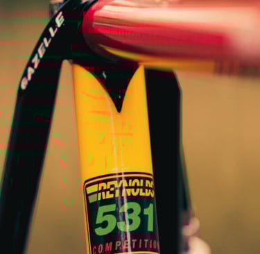 reynold 531 bisiklet