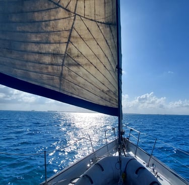 A sailboat sailing on bright blue ocean water under a sunny sky with sun glinting off waves.