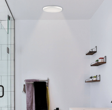 right fitting replacement of old broken batten holder ceiling light oyster lights