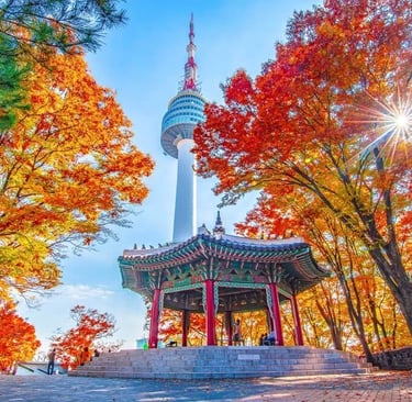 Paket Tour Korea, Hanbok, Namsan Tower, Nami Island, Tour Korea Batam, Itaewon, Gangnam, Seorak San,