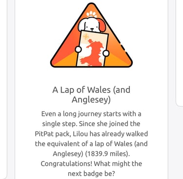 alt="PitPat app A lap of Wales badge unlocked"