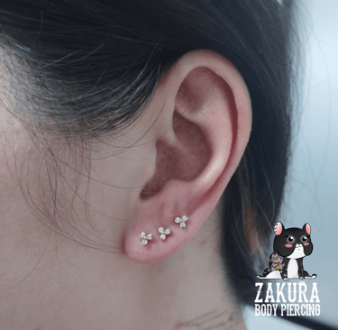 piercing à pau lobe