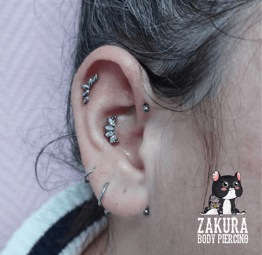 piercing à pau helix conch anti helix lobe