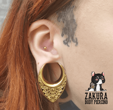 piercing à pau conch