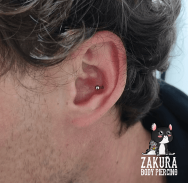 piercing à pau conch