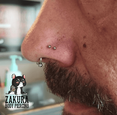 piercing à pau nez septum