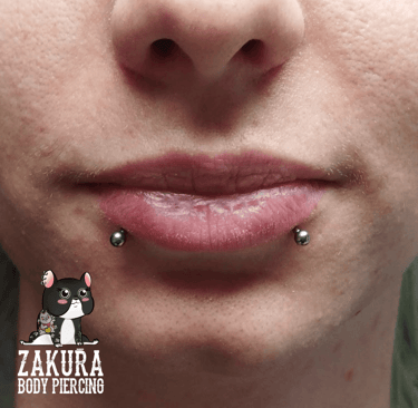 piercing à pau labret snake bites