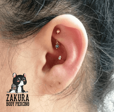 piercing à pau rook conch