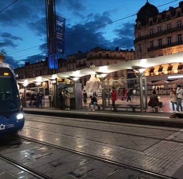 The >Line One tram