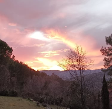 A regular evening spectacle at home