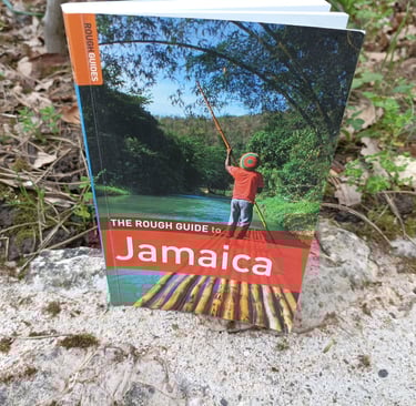 A Rough guide to travel