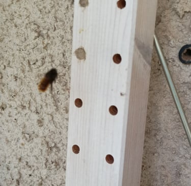 This hole should do