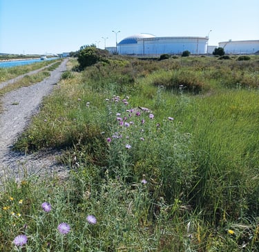 The tow path .