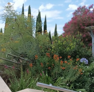 Montpellier Corum gardens