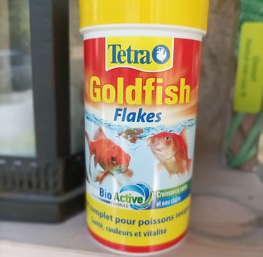 Would this tempt them?