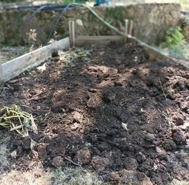 Our devastated muck heap