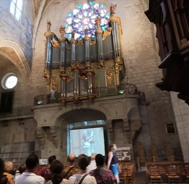The concert draws to a magnificent close.