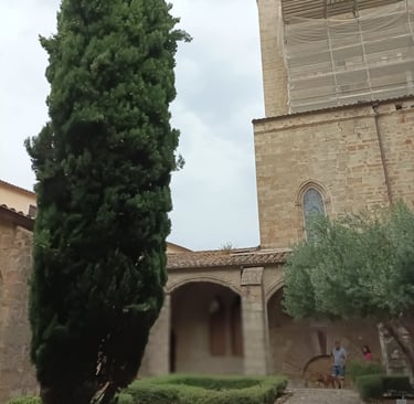 The simple Cloisters