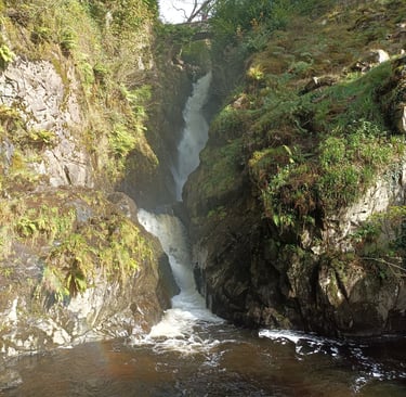 Aira Force