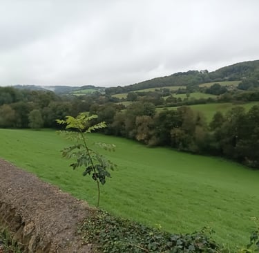 The Slad Valley, Gloucestershire